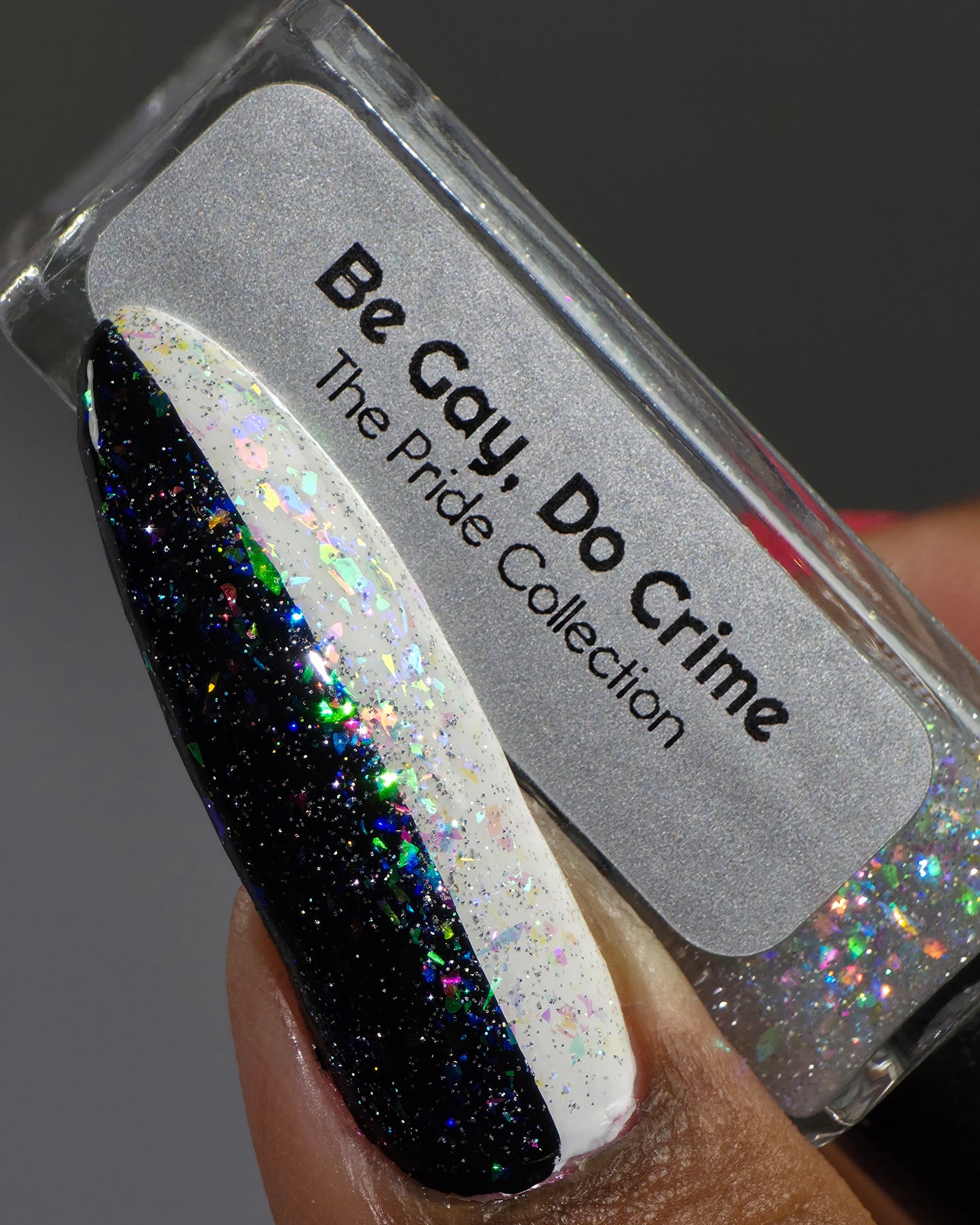Be Gay, Do Crime