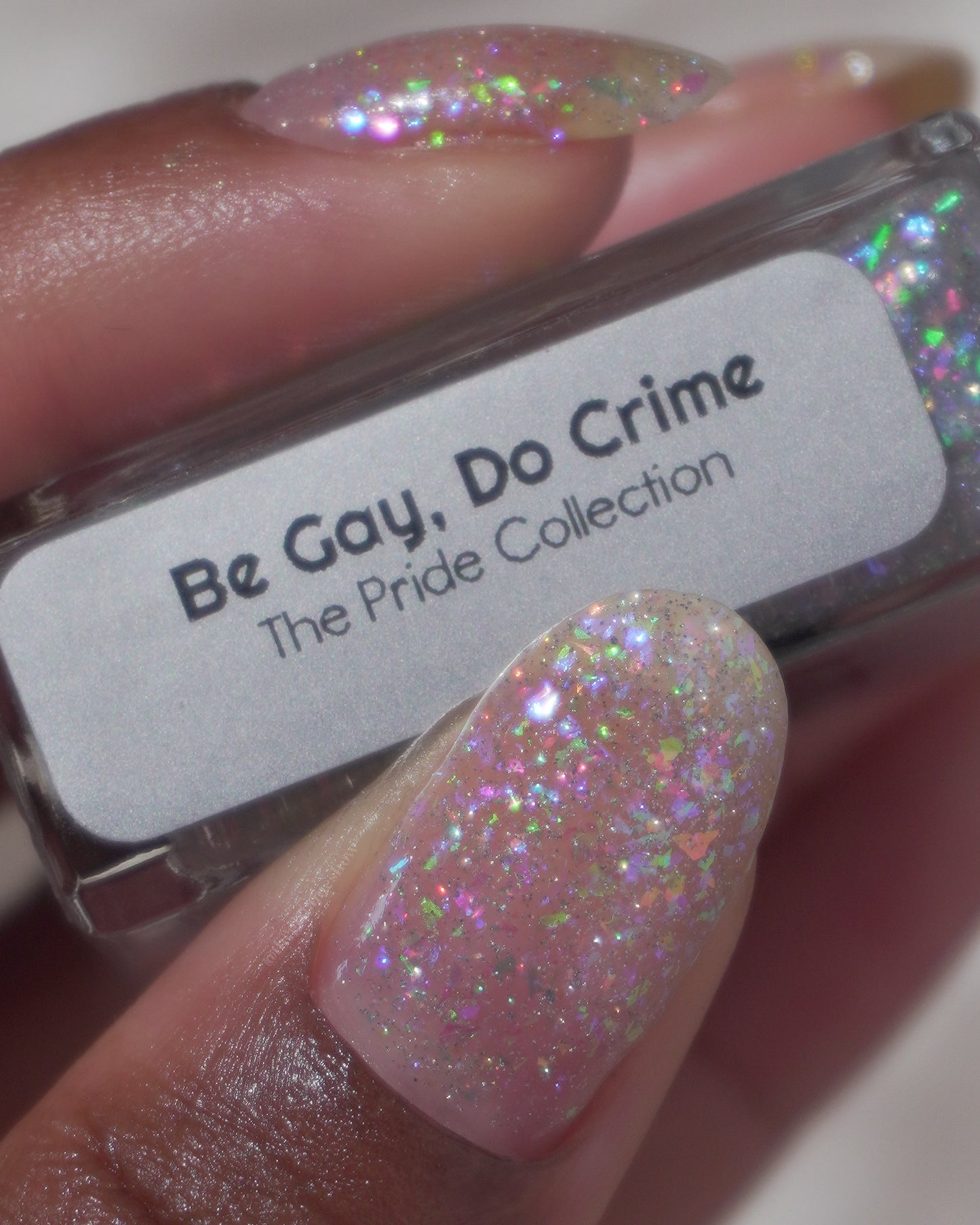 Be Gay, Do Crime