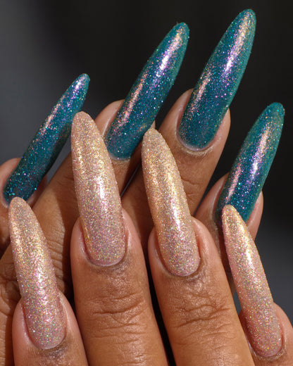 The Palestine Collection