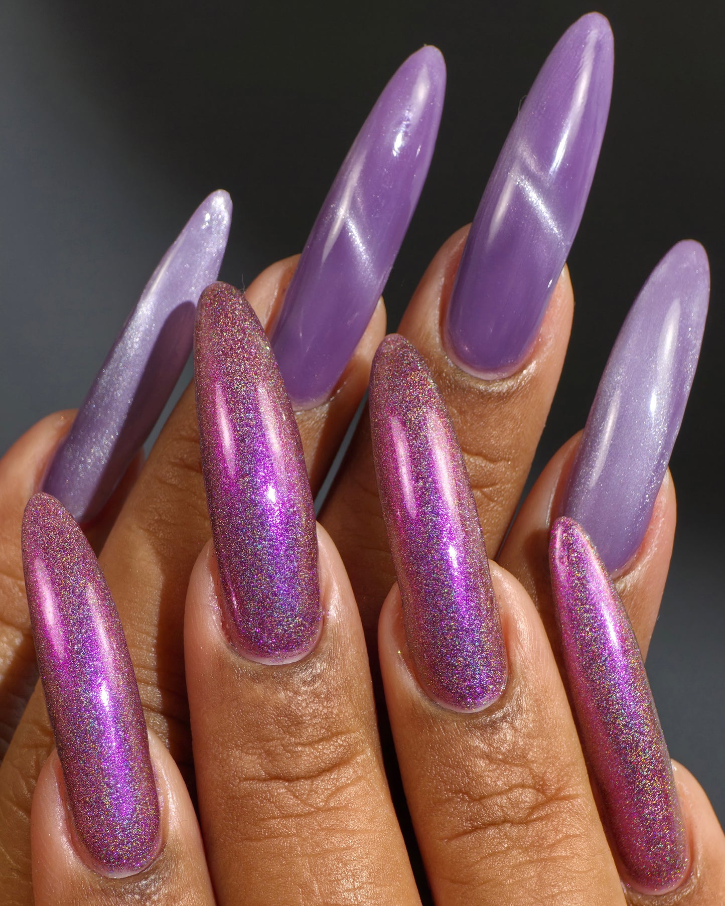 The Palestine Collection