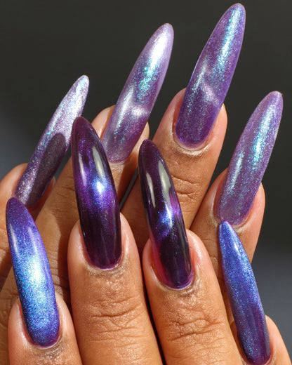 The Palestine Collection