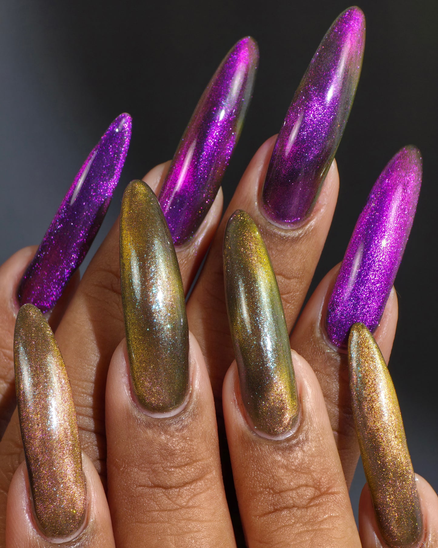 The Palestine Collection