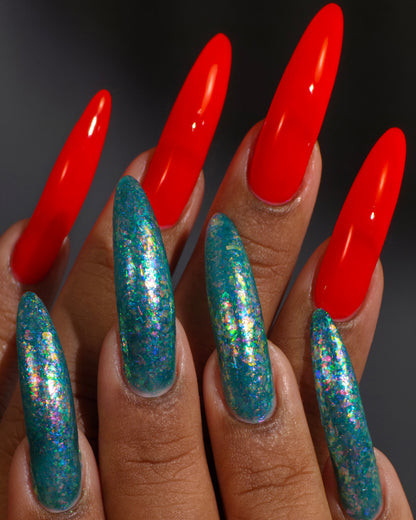 The Palestine Collection