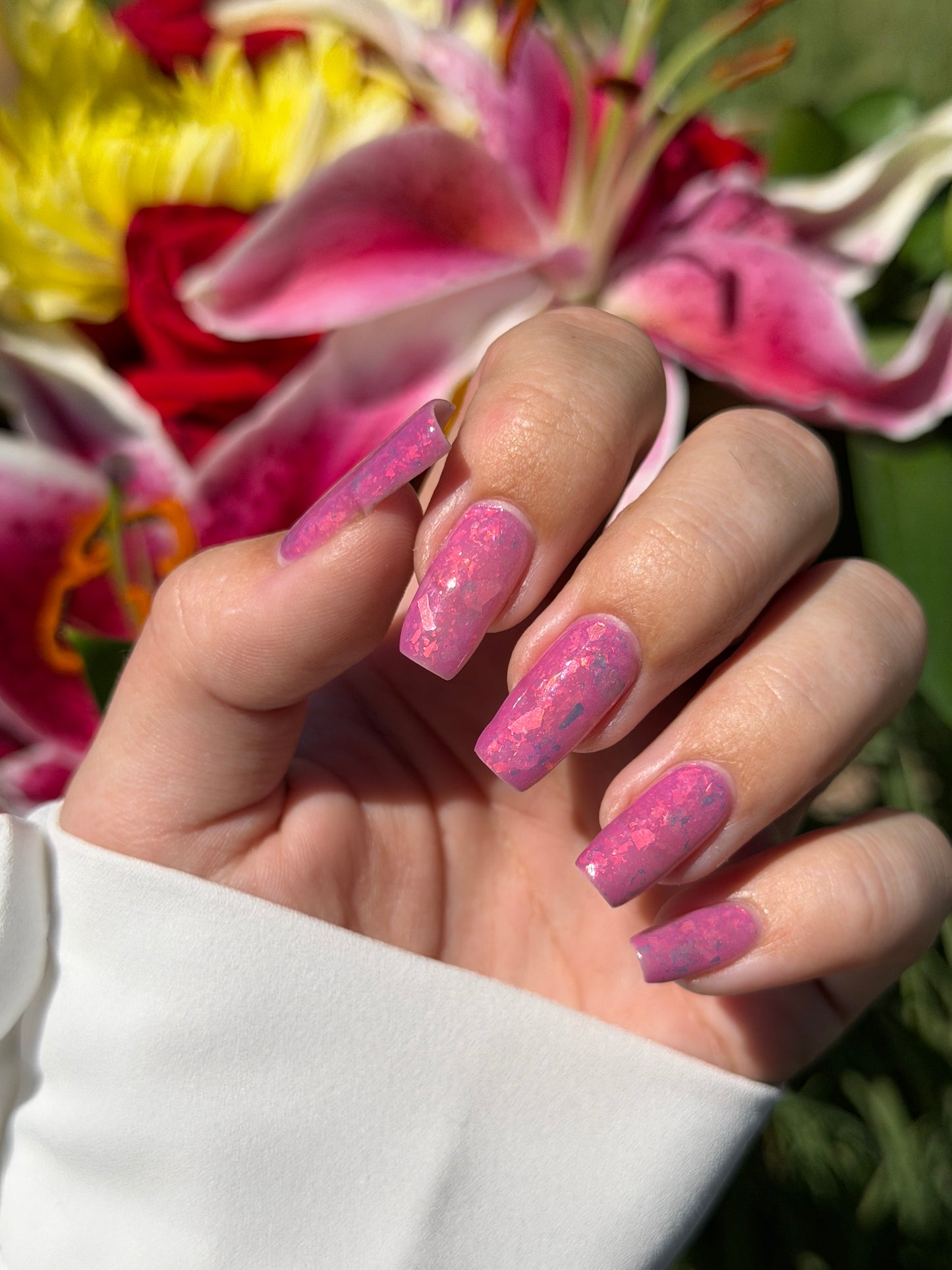 Carnations in Bloom
