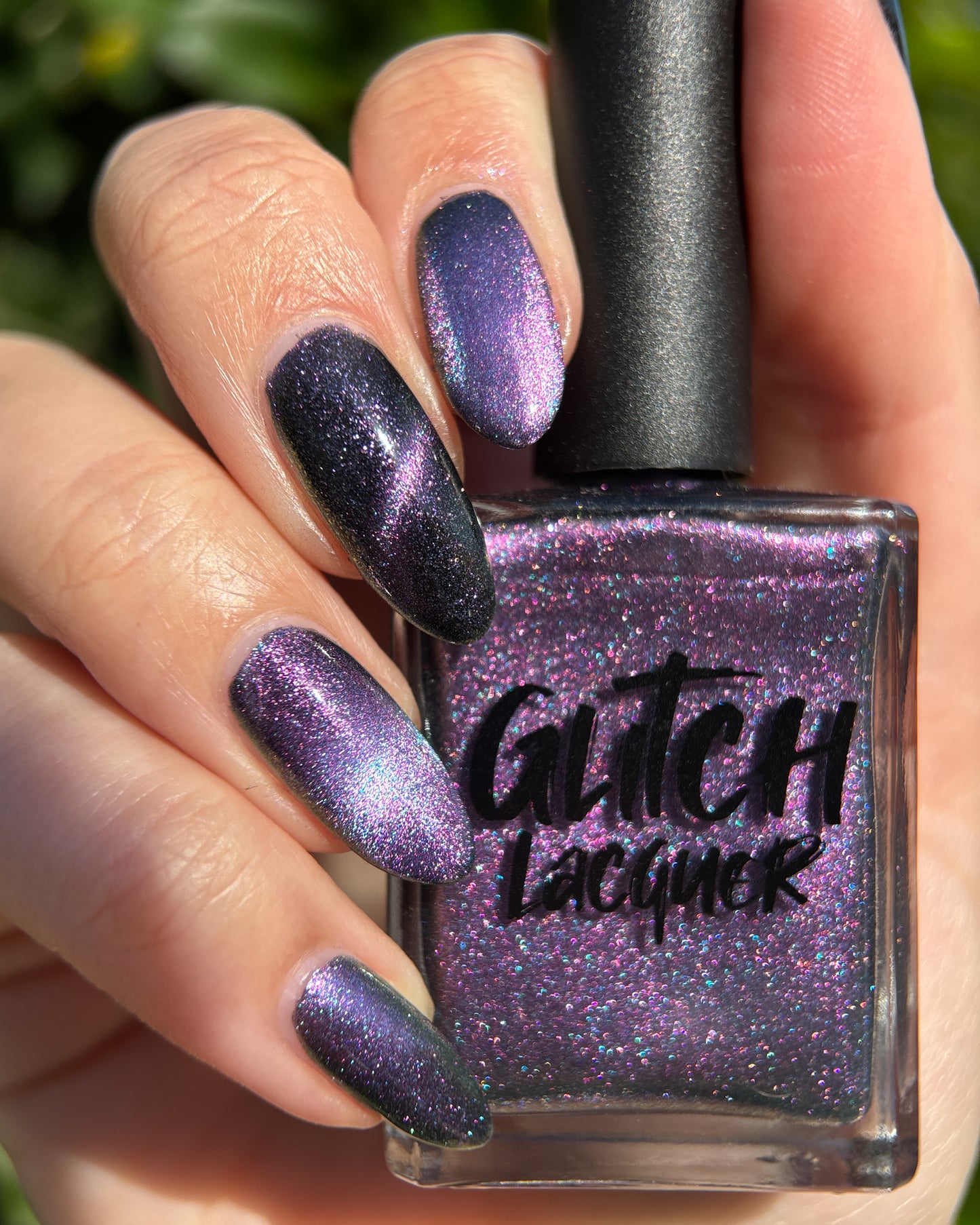 Lavender Menace