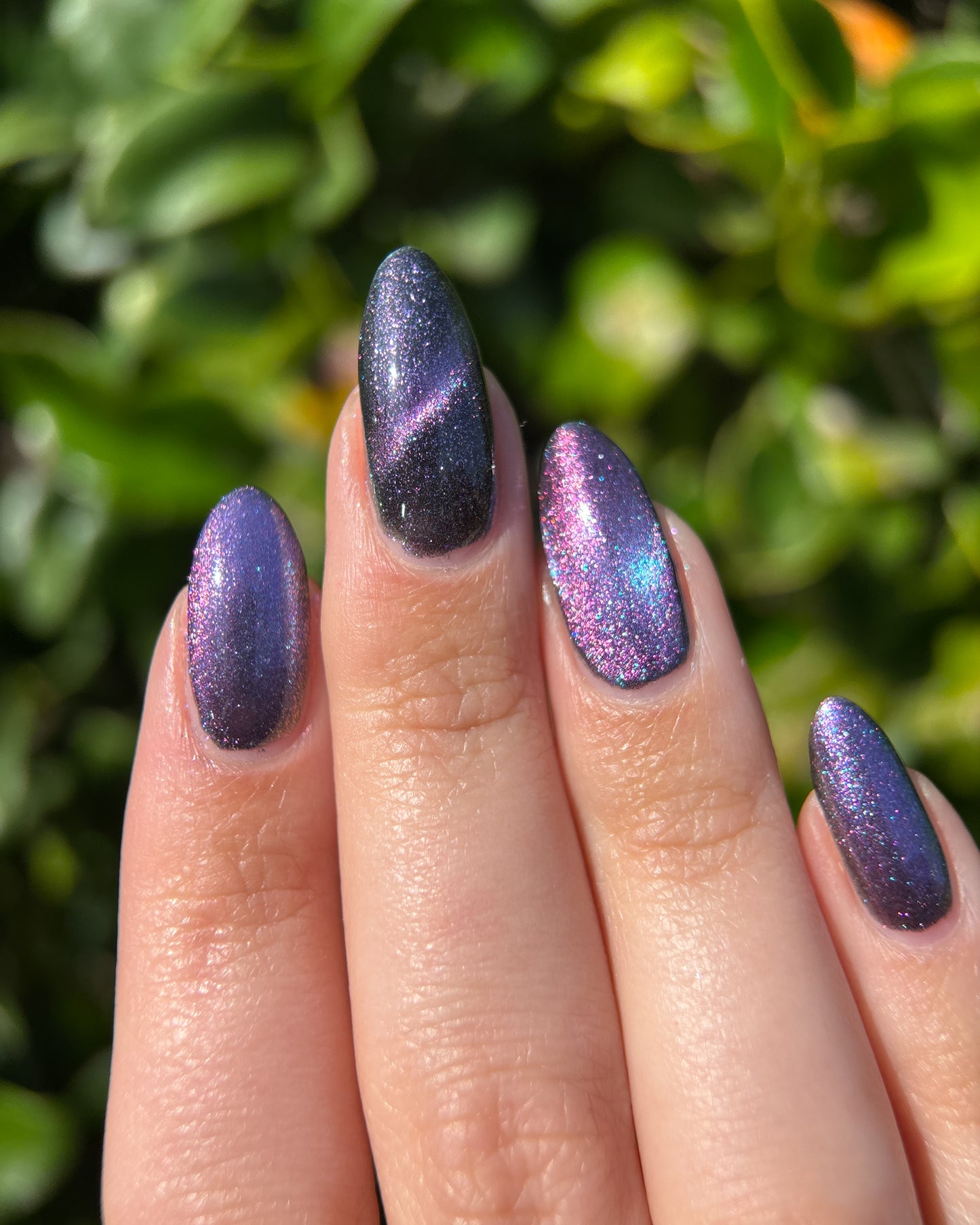 Lavender Menace