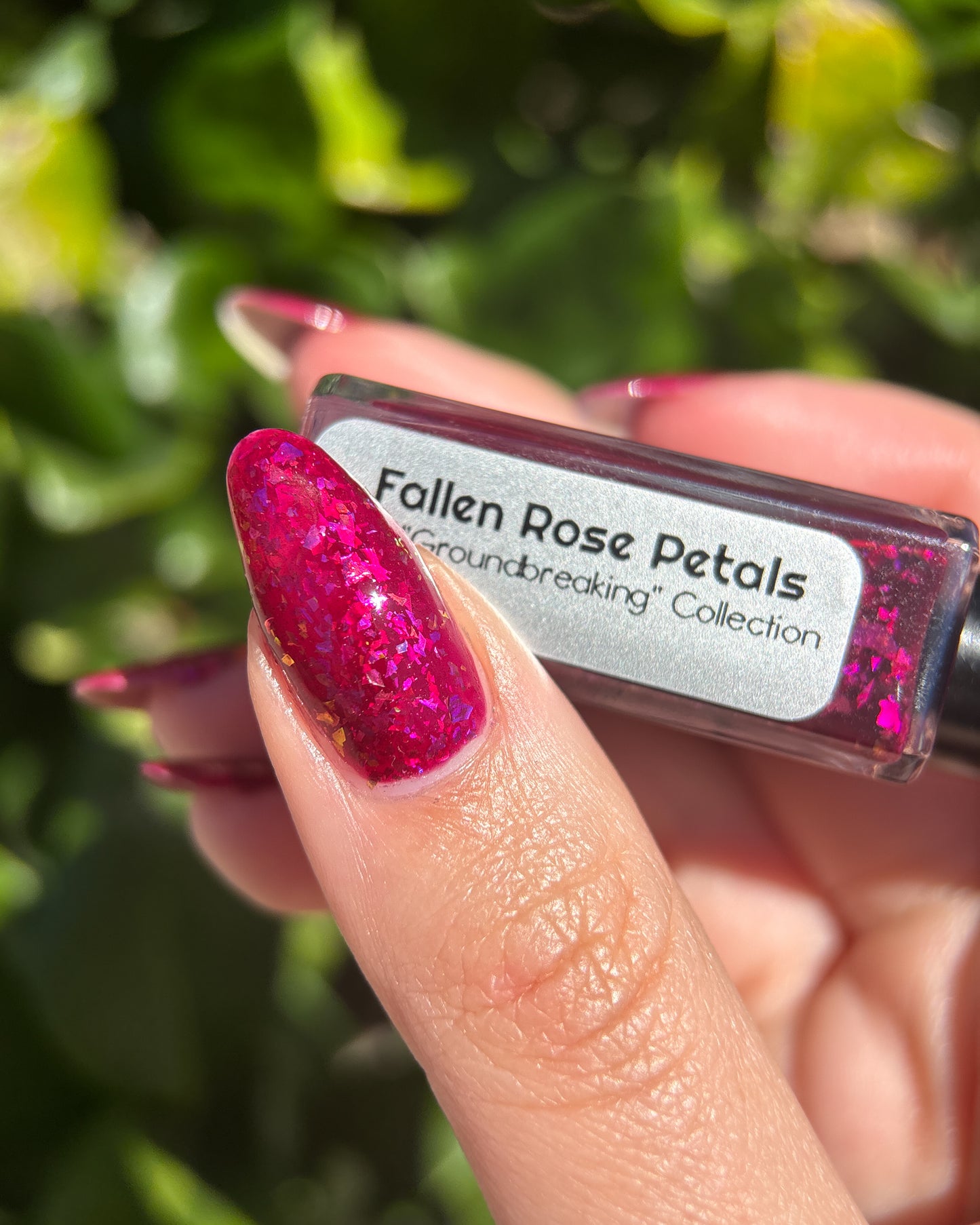 Fallen Rose Petals