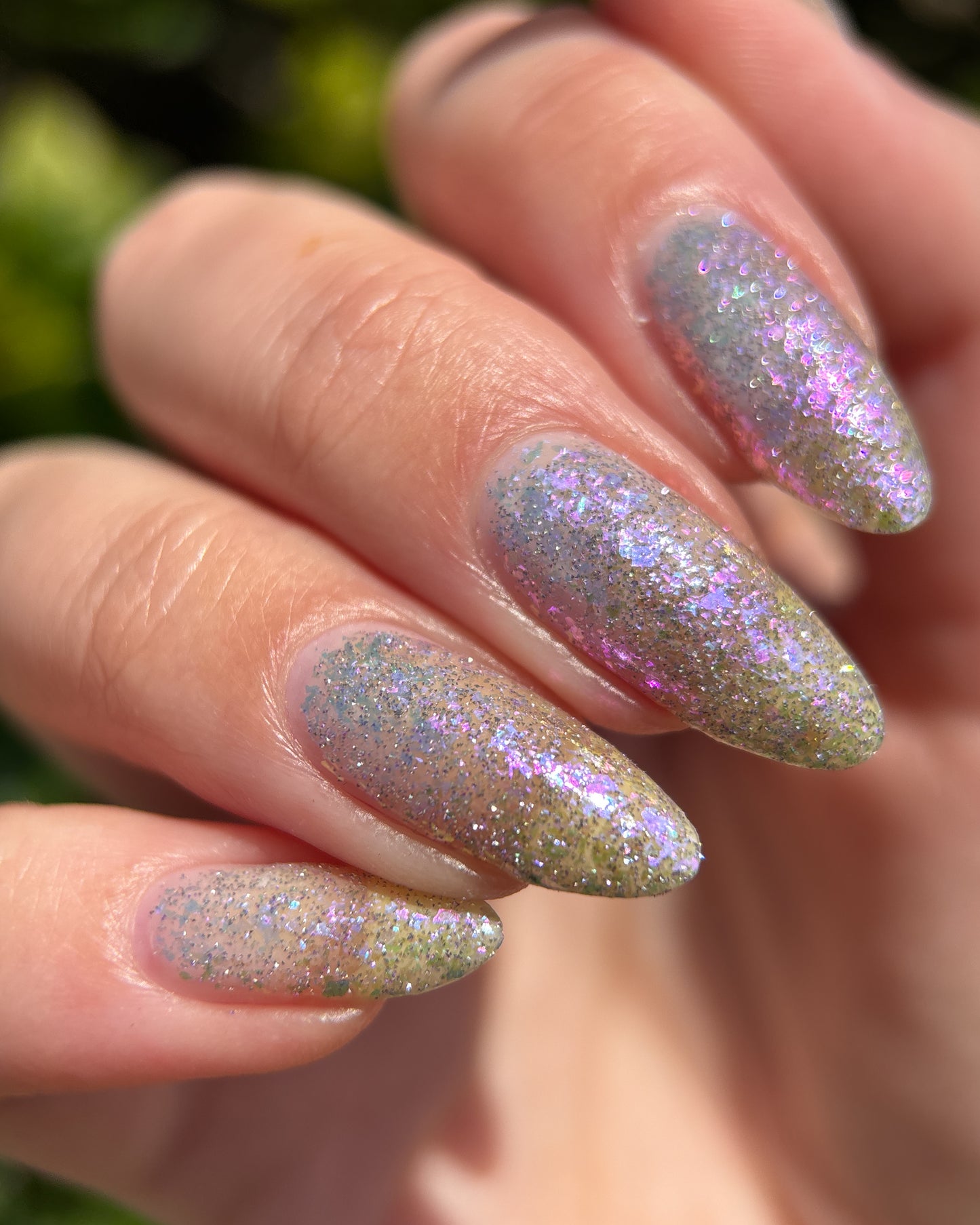 May Flowers