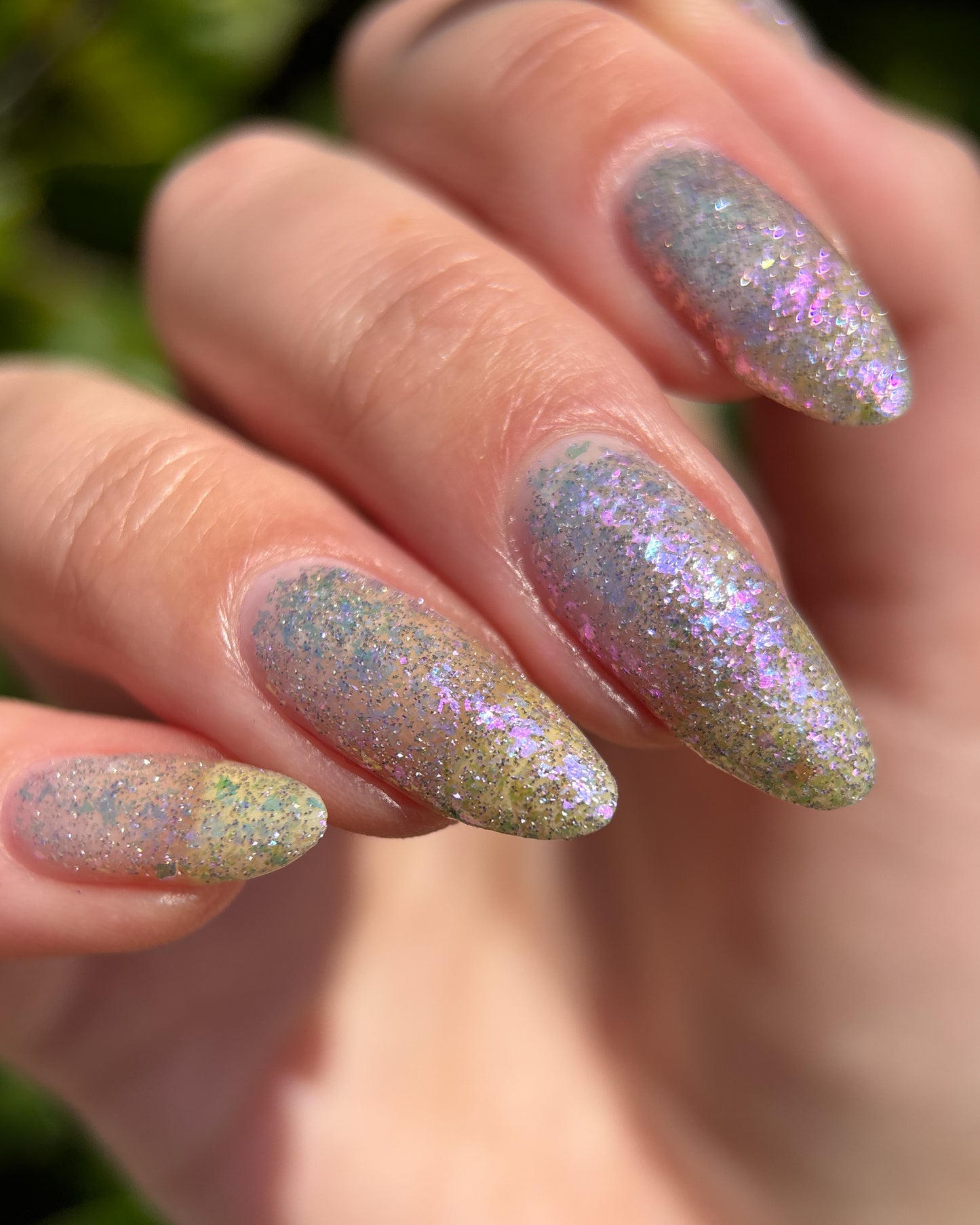 May Flowers