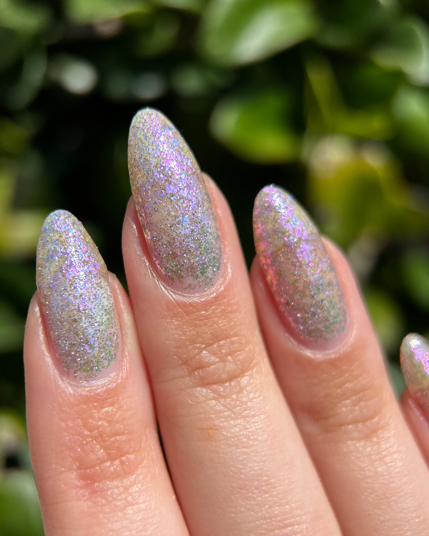 May Flowers