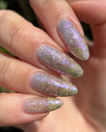 May Flowers