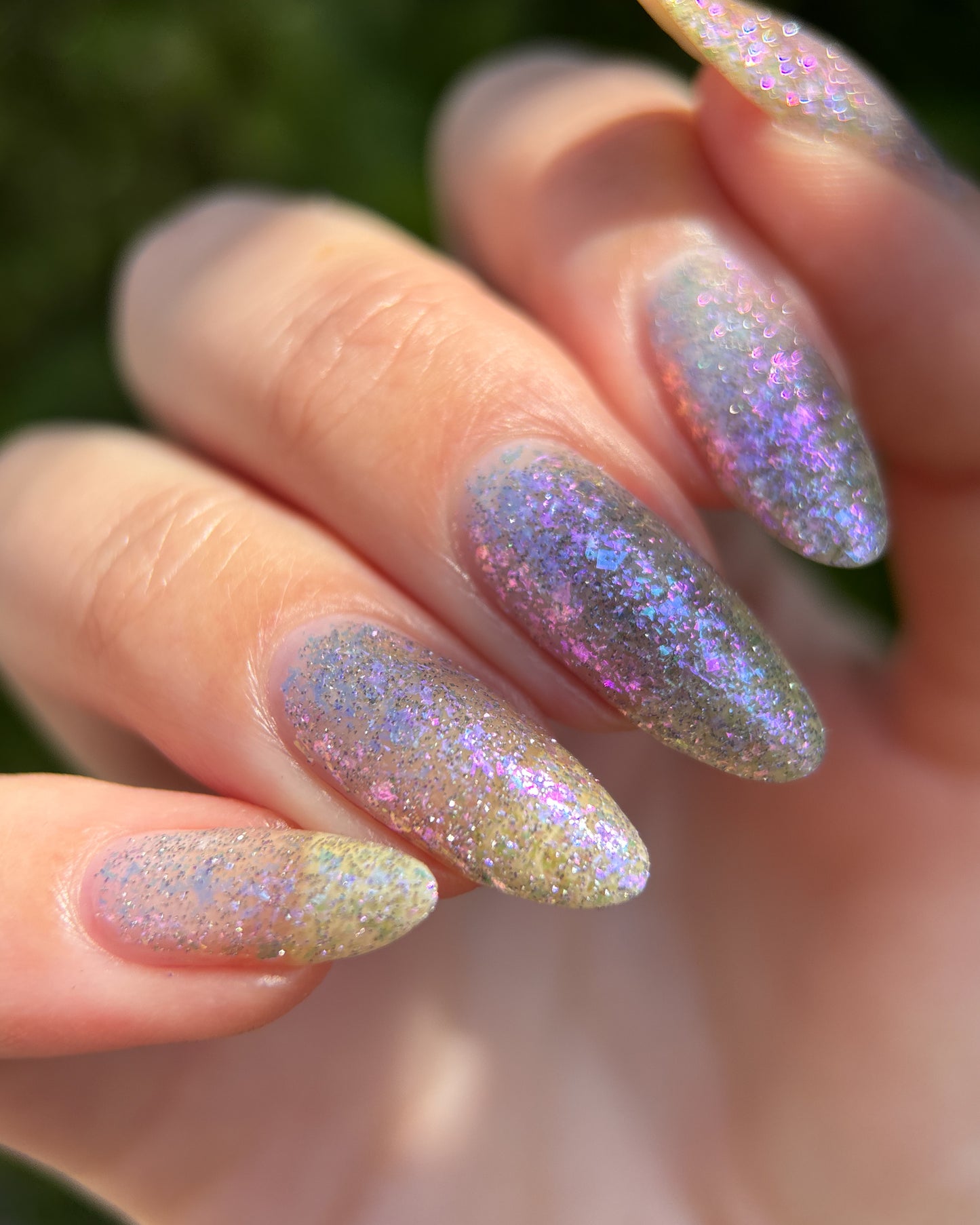 May Flowers