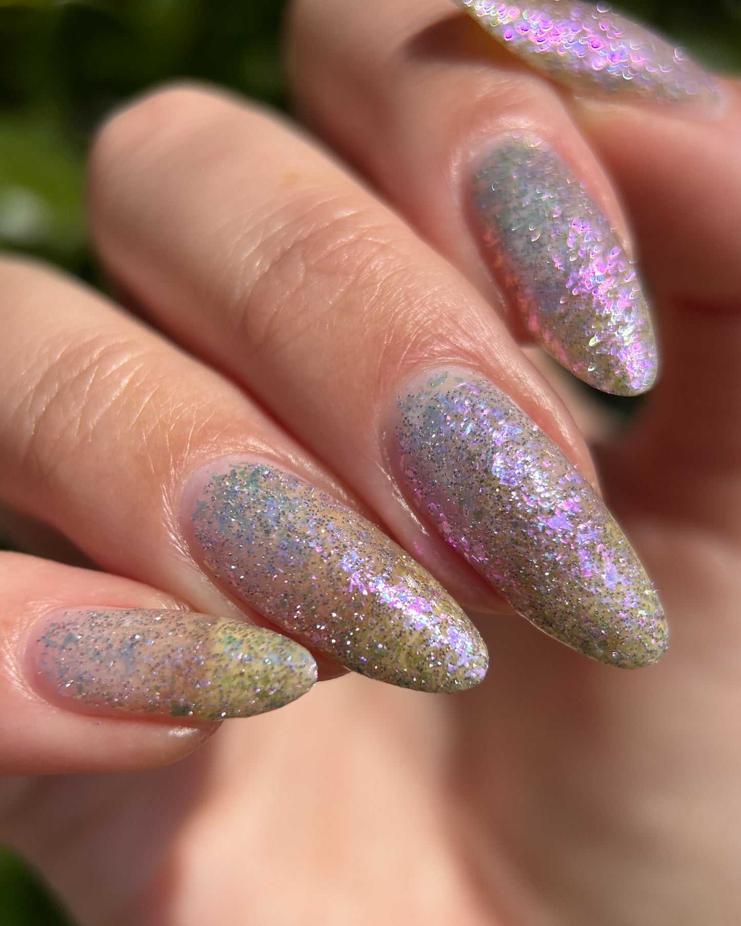 May Flowers