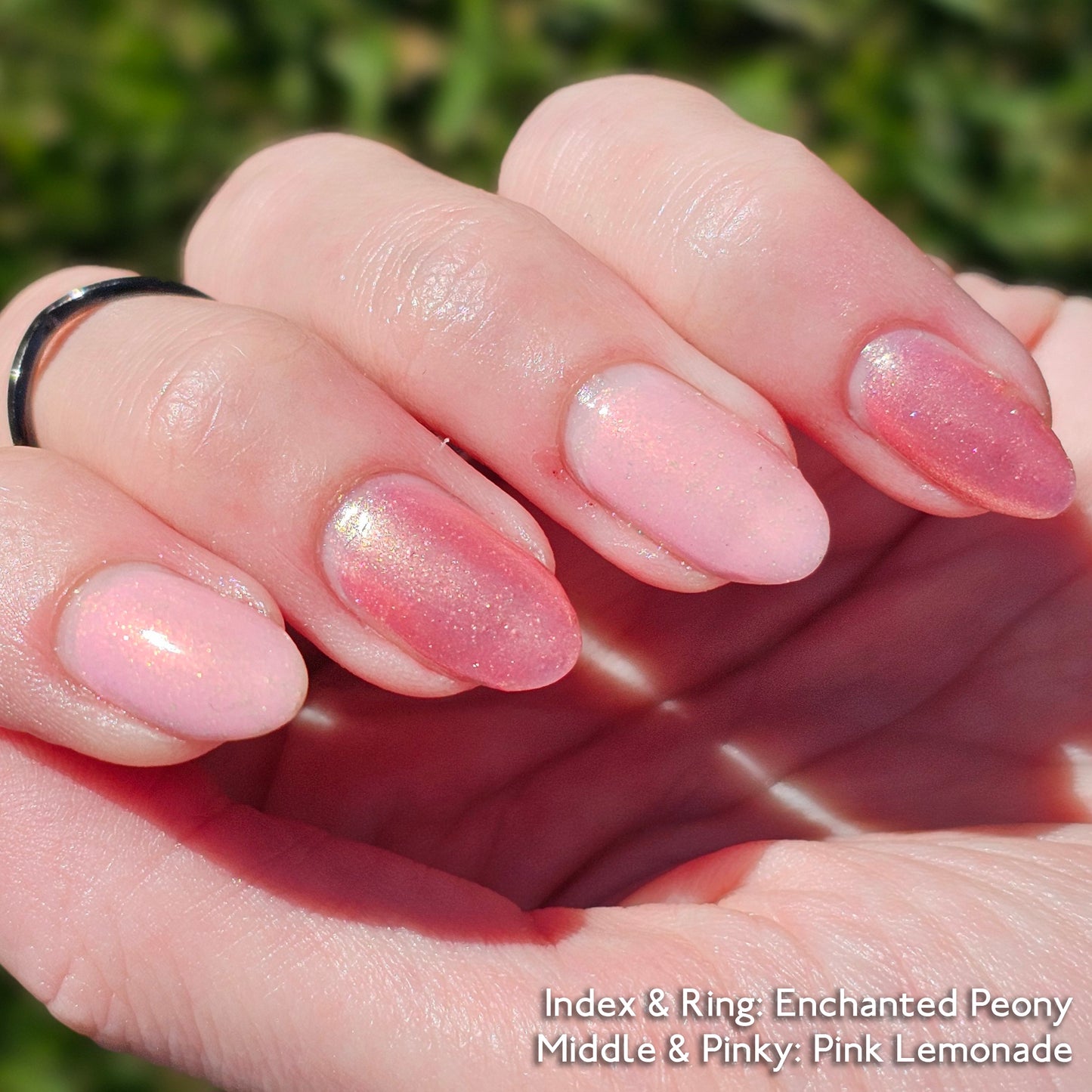 Enchanted Peony