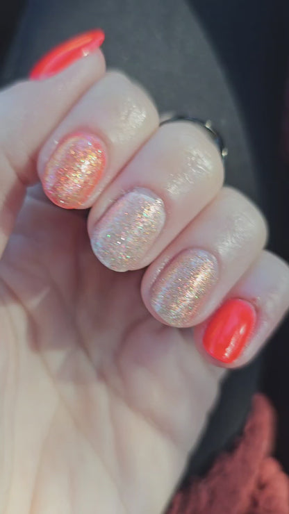 The Palestine Collection