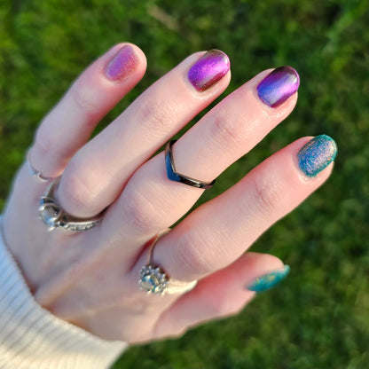 The Palestine Collection