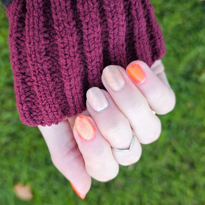 The Palestine Collection