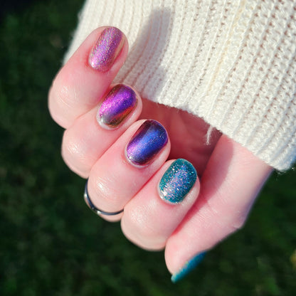 The Palestine Collection