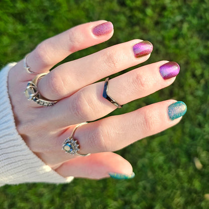 The Palestine Collection