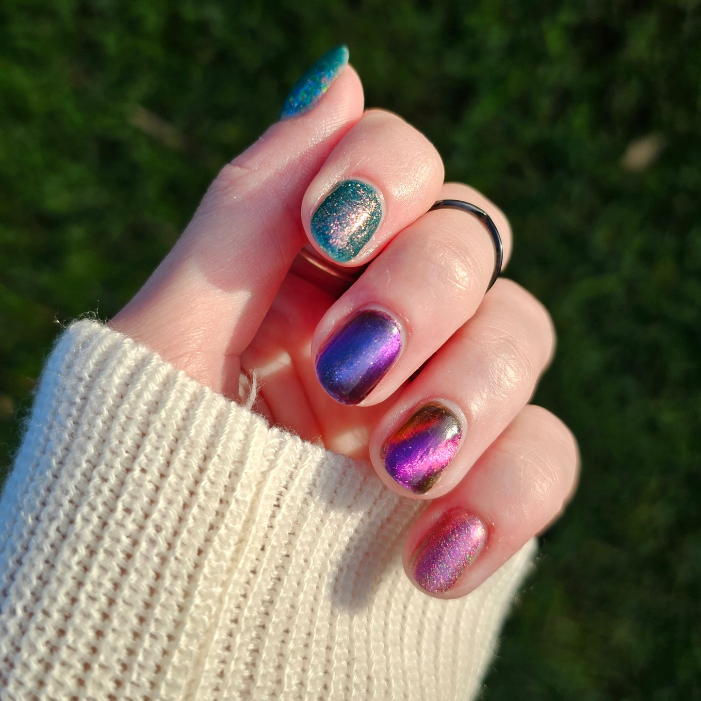 The Palestine Collection