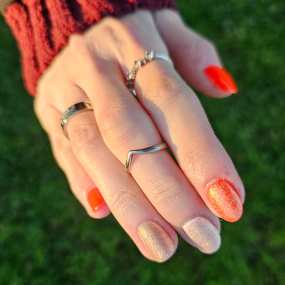 The Palestine Collection