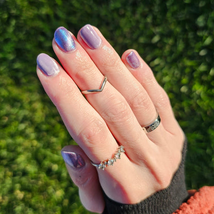 The Palestine Collection