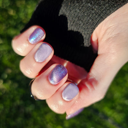 The Palestine Collection