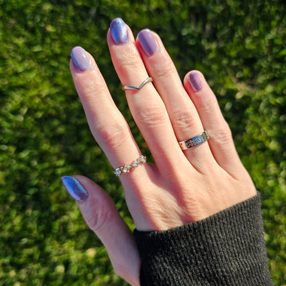 The Palestine Collection