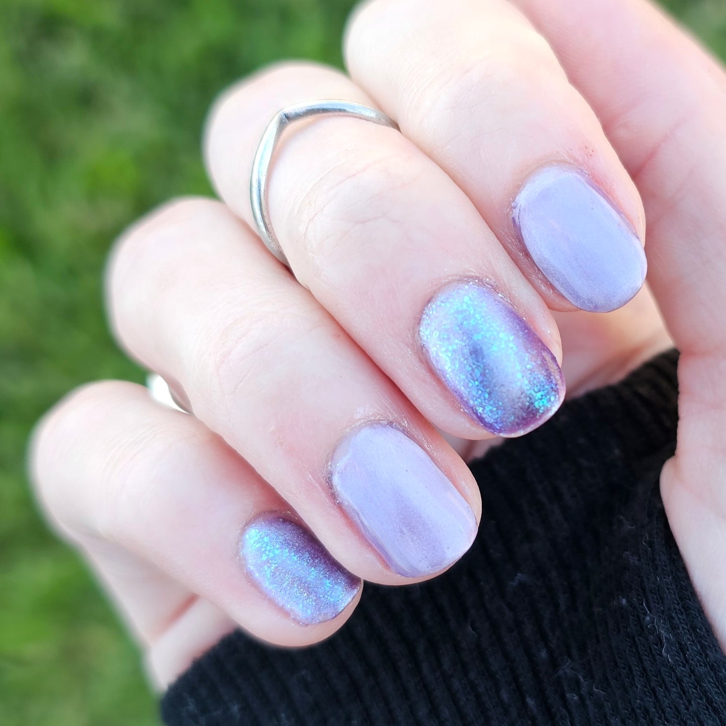 The Palestine Collection