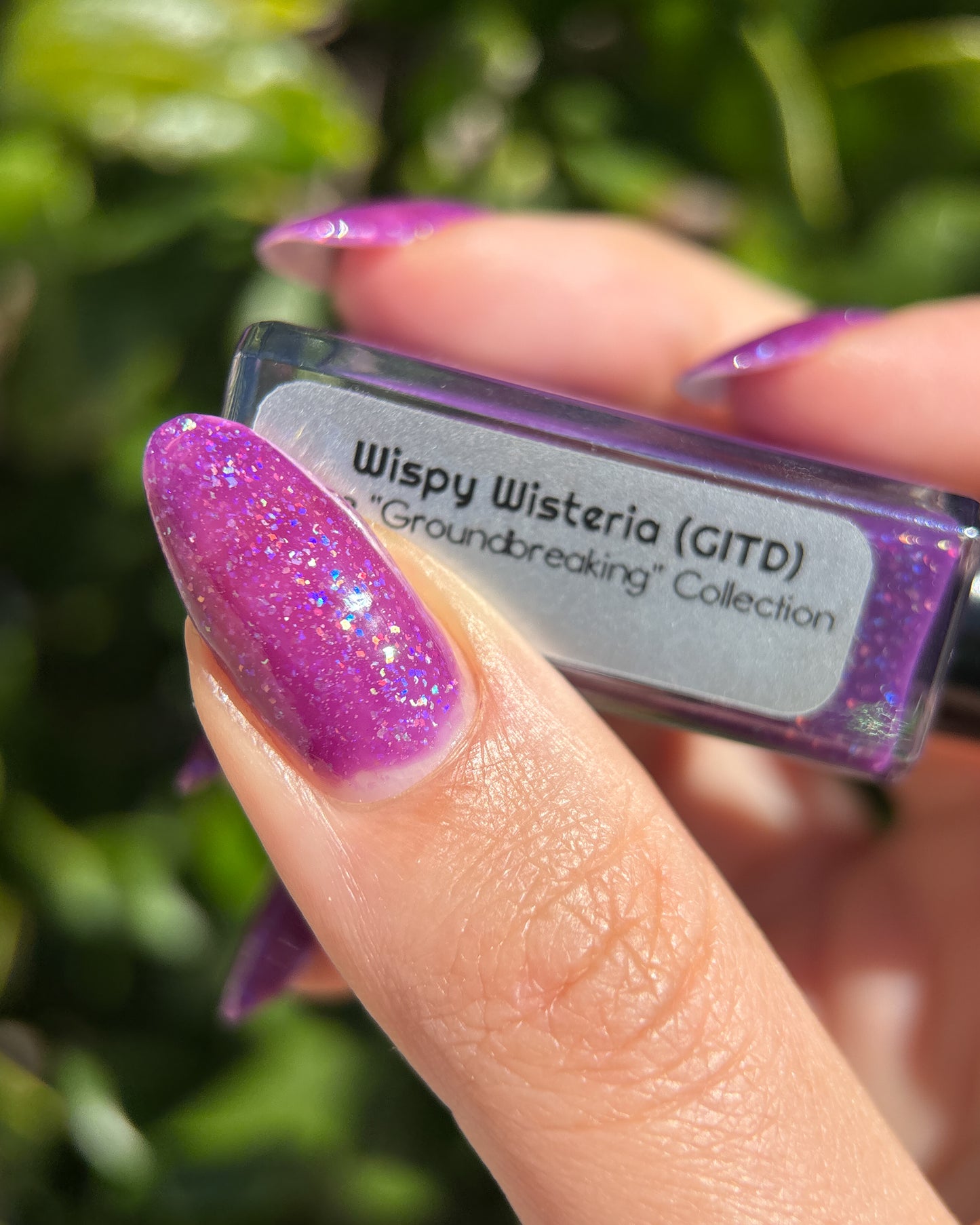 Wispy Wisteria